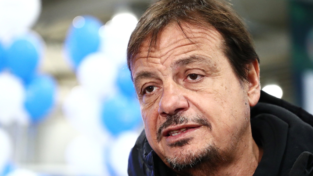 Άταμαν: «Δεν θα πάρουμε παίκτη, ο Μήτογλου είναι καλύτερος από τους σέντερ της αγοράς» Άταμαν: «Δεν θα πάρουμε παίκτη, ο Μήτογλου είναι καλύτερος από τους σέντερ της αγοράς»